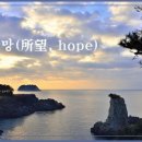 소망 Daum카페