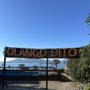 올랑고디또 이미지