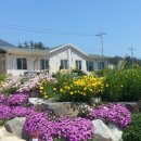 미소펜션 이미지