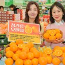 오렌지 이미지