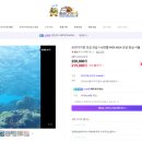 [스낵프리다이빙] 인생 첫 프리다이빙 김민지, 양상훈 강사님 후기