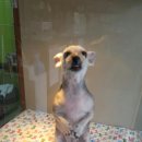 송담동물병원 이미지