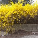 광일농장 이미지