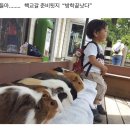 오빠가 데리러 갈 개 | 결심한 사랑에는 추진력이 있다