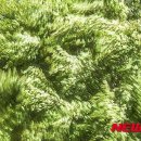 기억의 순간 이미지