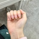 네일해브피피
