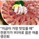 오늘한끼! 네이버블로그