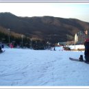 양지파인리조트 이미지