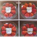 한들농장 이미지