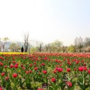 원덕체육관 이미지