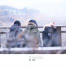 혜원 이미지