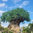 스프링힐 이미지