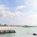 마을안관광코스 5코스 중앙일보