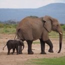 탑보습학원 이미지