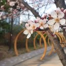 도심건강길 3길 이미지