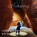 1200평 실내 자연 테마파크 탐험, 동탄 네이처스케이프 플러스