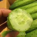 대견농장 이미지