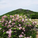 ＜국망봉＞- 연분홍 철쭉 동산 소백 죽계구곡 초암사와 국망봉~상월산 탐사 STORY, 이미지