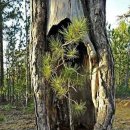 자연속으로 나를 찾아서 이미지