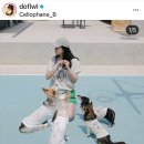 셀로판B 이미지