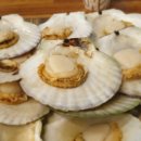 고래천국 이미지