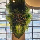 서초중앙로24길 41 이미지