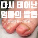 의료법인유라의료재단 온누리요양병원 | 두꺼운발톱을 손질해 드려요 / 의료법인유라 의료재단 온누리요양병원 / 전국 발톱손질 출장 &#39;노인발톱119&#39;