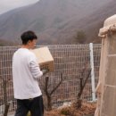 비타민 팜 오토캠핑장 이미지