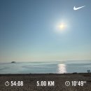 오도리 티스토리