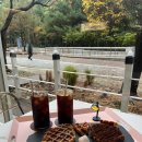 동백뚱