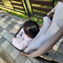 쑥쑥튼튼소아청소년과의원 이미지