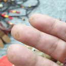 율목 사회적협동조합 이미지