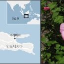 (주)초록빛 이미지