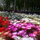 시낭운동장 이미지