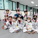 한국체대 건강한태권도 이미지