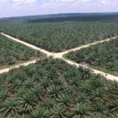 화장품종합마트 이미지