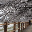 영강체육공원길 이미지