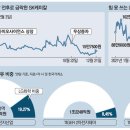 팥기사