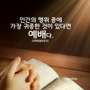 몬테소리치유센터