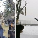 방어진고등학교 이미지