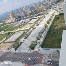 나성동_세종예술의전당 앞 이미지