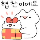 와이에이치글로벌 이미지