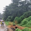 무도3리 마을회관 이미지