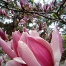 해피명품세탁 이미지