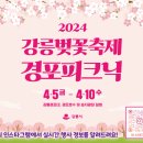 솔숲어린이집 | 2024 강릉 벚꽃축제 경포 피크닉 행사 참여 후기 및 현장 스케치
