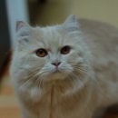2007-주007 이미지