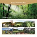 말매못근린공원 이미지