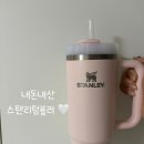 스탠리텀블러 887ml 블룸핑크, 오키드 내돈내산 후기