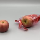 부산예술고등학교 이미지