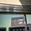 염주실내수영장 | 광주 서구 염주실내수영장 토요일 주말 자유수영(운영시간, 금액)